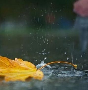 Meteo București. Temperatura minimă scade la 17 grade și vin ploi torențiale