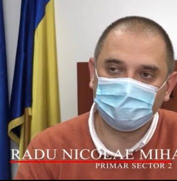 Radu Mihaiu (Sector 2) cere amenzi mai mari pentru defrişări ilegale