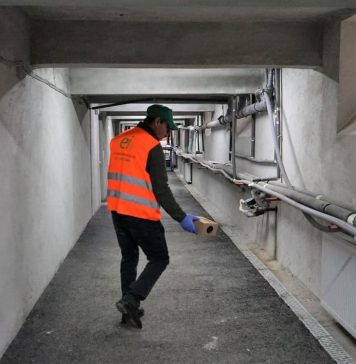 O nouă serie de tratamente de deratizare în spațiile verzi, tenerurile și subsolurile blocurilor din București