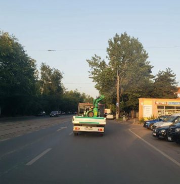 Primăria Capitalei demarează cel de-al 13-lea tratament de combatere a țânțarilor