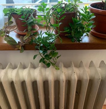 Cetățenii Sectorului 1 pot depune cererile pentru acordarea ajutorului de încălzire, de astăzi