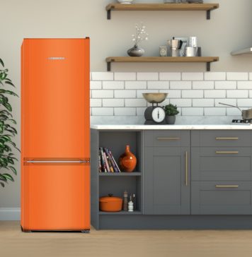 Cum poți prelungi durata de viață a frigiderului tău