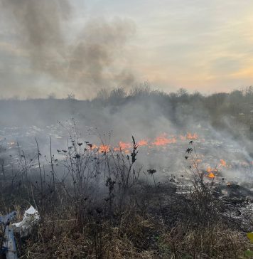 Garda de Mediu, despre ”piromanii de meserie” din Ilfov: ”Dau foc deşeurilor şi îşi lasă copiii să le păzească”. Minorii nu pot răspunde penal FOTO