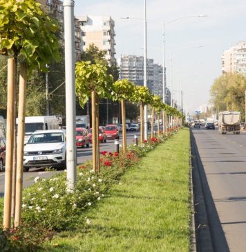 Trafic restricţionat pe bd. Iuliu Maniu pentru lucrări la linia de tramvai, anunță PMB