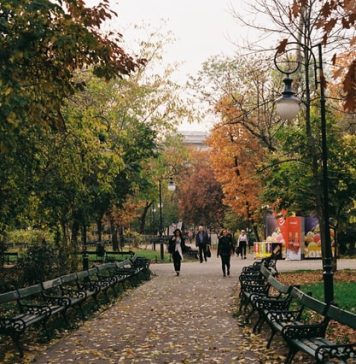 Rata de incidență COVID a scăzut sub 5 la mie în București