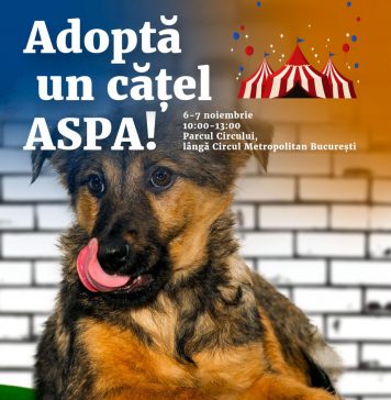 Adoptă un cățel ASPA! PMB reia târgul de adopții în Parcul Circului