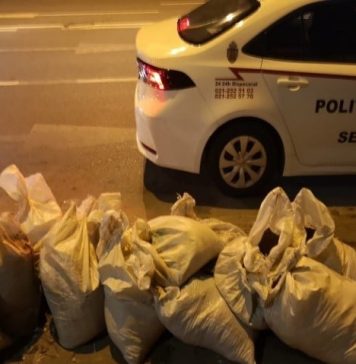 Noi amenzi date în Sectorul 2 pentru aruncarea gunoaielor pe stradă. Vinovații, puși să adune deșeurile