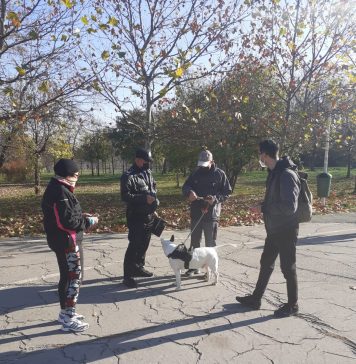 Poliția Locală București continuă sancționarea deţinătorilor de animale de companie care “uită” să strângă mizeria