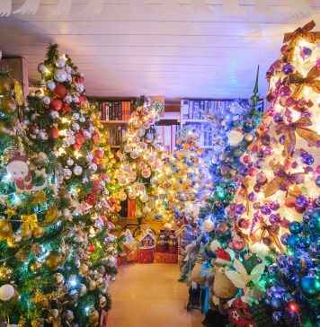 VIDEO – Cum arată casa cu 444 de brazi de Crăciun. Niciunul nu seamănă cu altul