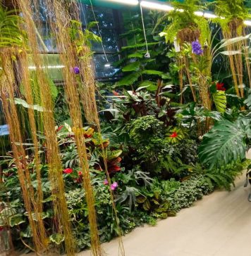 Serele din Parcul Drumul Taberei rămân deschise în Ajun de Crăciun și de Anul Nou