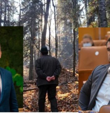 Daniel Ghiță – ACUZAȚII la adresa ministrului Mediului: Este ministrul pentru distrugerea Mediului și a pădurilor, nu pentru protejarea lor!