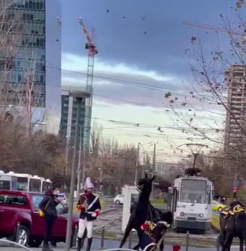 VIDEO/ Un jandarm din București a căzut de pe cal de 1 Decembrie