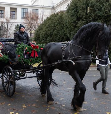 30.000 de vizitatori în primul weekend la Classical Christmas Market de la Opera București