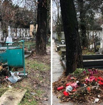 Oana Pellea, după o vizită la Cimitirul Bellu: „Niciodată nu am văzut asemenea dezastru” – FOTO