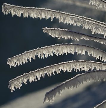 AVERTIZARE meteo de polei și burniță în Capitală, până joi dimineața
