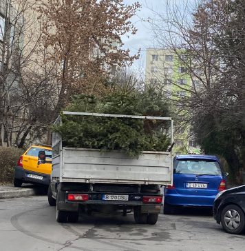 Primarul Sectorului 2: Noi ne-am apucat să strângem brazii de pe stradă, cum și voi v-ați apucat să îi scoateți deja din casă