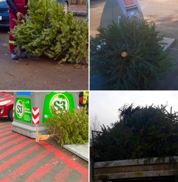 Cum vor fi ridicați brazi de Crăciun din Sectorul 3