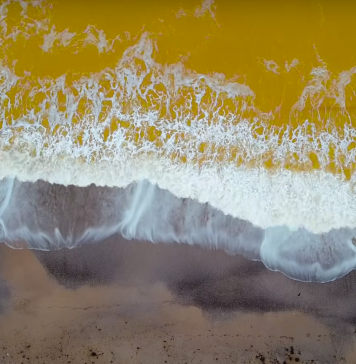 Fenomen rar în nordul Mării Negre, unde apa a devenit galbenă. Care este motivul – VIDEO