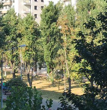 Primăria Sectorului 2 cere preluarea în administrare a Parcului Circului în vederea modernizării
