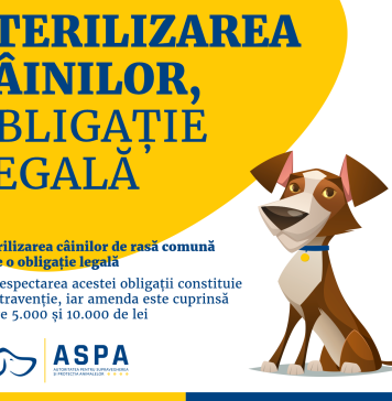 Campanie de sterilizare și microcipare a câinilor comunitari