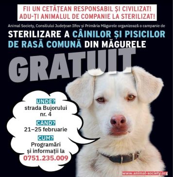 Măgurele: Protecția Animalelor dă startul campaniei de sterilizări gratuite pentru câini și pisici