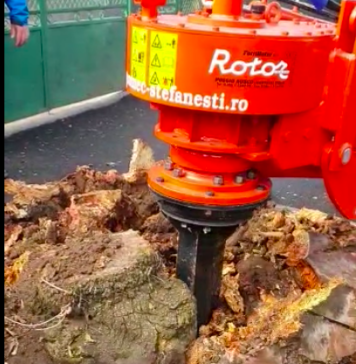 Primarul Sectorului 2: În 2021 am reușit să completăm toate alveolele goale cu arbori noi