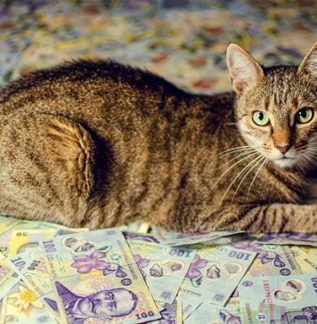 Ratele la creditele de locuință cresc cu cel puțin 300 de lei anul acesta