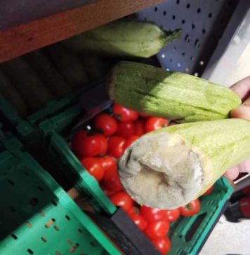 Două magazine Mega Image din Chiajna, amendate de ANPC cu 37.000 de lei – FOTO