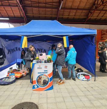 Loc amenajat special pentru animalele refugiaților, în Gara de Nord – FOTO
