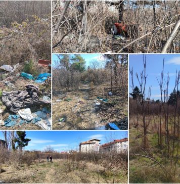 Primăria Sectorului 6 demarează mai multe acţiuni de curăţenie și începe cu un teren de pe Calea Plevnei