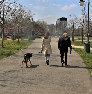 Peste o sută de persoane, amendate în București pentru că și-au lăsat animalele de companie nesupravegheate