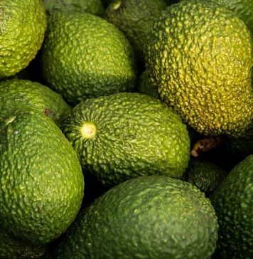 Alertă alimentară! Avocado cu pesticide, retras de la raft