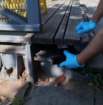 Primăria București va colabora cu Institutul Cantacuzino și DSP pentru a actualiza strategia de deratizare și dezinsecție