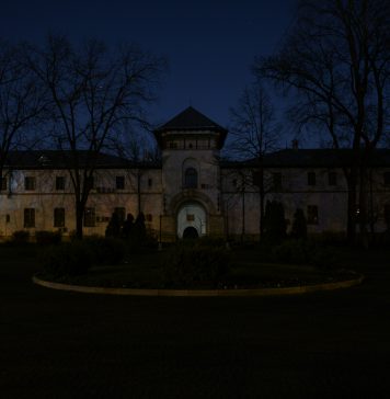 VIDEO/ Președinția, Parlamentul și Guvernul au marcat sâmbătă seara „Ora Pământului”