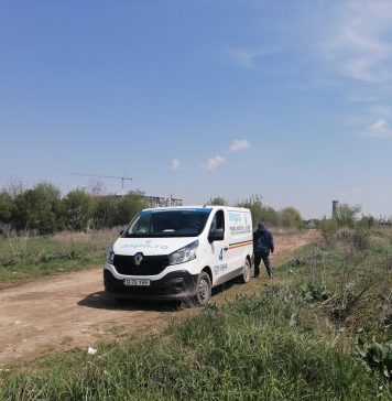 Alți câini fără stăpân au fost ridicaţi de autorități din zona Lacul Morii