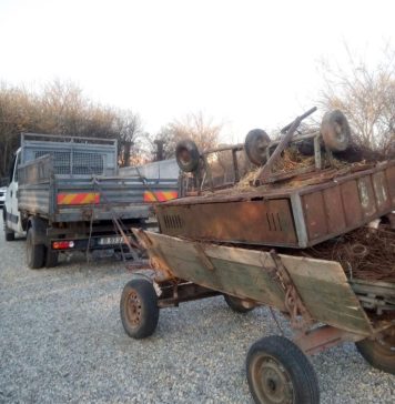 Un căruțaș a fost amendat cu 500 de lei în Sectorul 6 și a plecat acasă doar cu calul