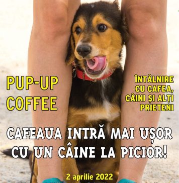 Ziua animalelor fără stăpân: Eveniment dedicat conștientizării adopțiilor, în București