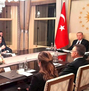 Sorin Grindeanu și Virgil Popescu s-au întâlnit cu Erdogan. Despre ce au discutat