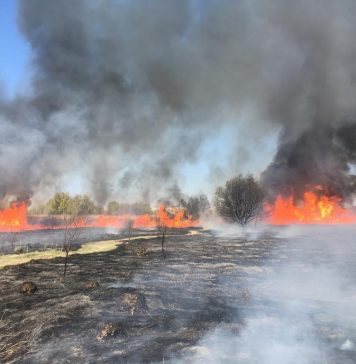 Directorul Administraţiei Parcul Natural Văcăreşti: Vom face demersuri pentru suplimentarea pazei