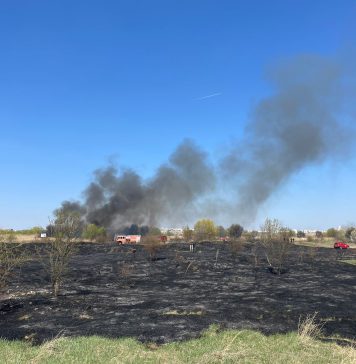 Octavian Berceanu acuză Primăria Capitalei pentru incendiul din Delta Văcărești: ”Autoritățile doar s-au pozat aici” – VIDEO