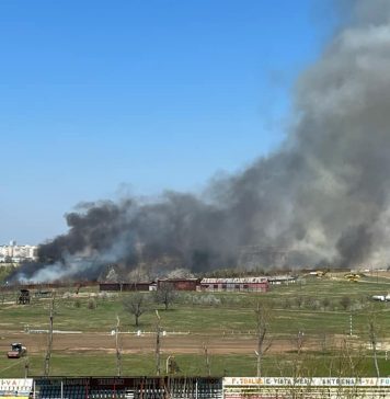 Incendiu de vegetaţie în Delta Văcăreşti. Circa 10.000 de metri pătrați sunt în flăcări/ Trafic îngreunat pe şos. Vitan-Bârzeşti – FOTO