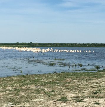 Obiective UNESCO cuprinse în cele 12 rute culturale/turistice aprobate spre finanțare