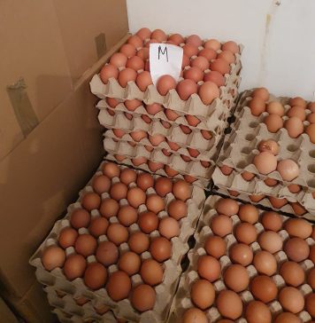 Ouă aproape expirate, sparte sau depozitate pe rafturi ruginite. ANPC a dat amenzi de 380.000 lei – FOTO