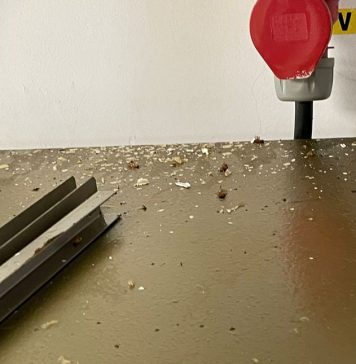 Gândaci în cantina unui cămin pentru vârstnici din Bucureşti