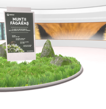 INEDIT. A fost lansată prima galerie virtuală dedicată Munților Făgăraș, la doar un click distanță