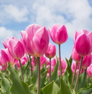 Angajații din România vor beneficia de o minivacanță de patru zile în luna aprilie