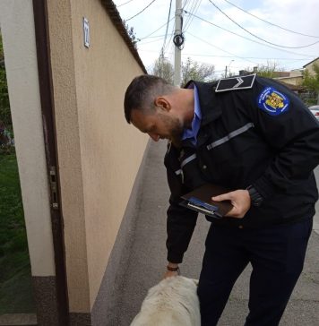 Cum a primit stăpâna unui câine din București amendă de 1.000 de euro