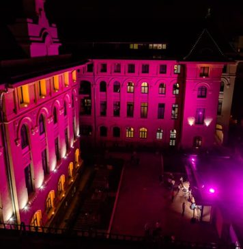 Număr RECORD de vizitatori în Noaptea Muzeelor la Primăria Capitalei și la instituțiile de cultură din București