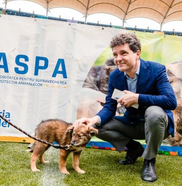 Nicușor Dan îi invită pe bucureșteni la târgul de adopții pentru căței și pisici de la Arena Națională – FOTO