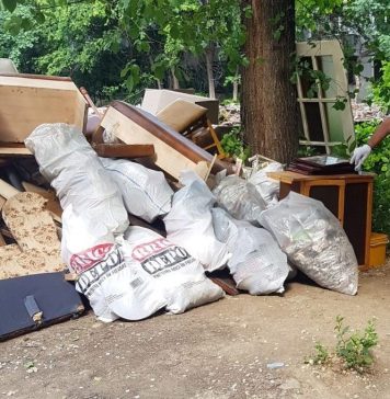Poliția Locală Sector 2 a dat amenzi de 3.000 lei pentru aruncarea gunoaielor pe domeniul public – FOTO
